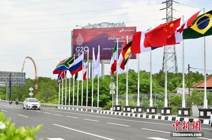 印尼巴厘島道路上G20成員國(guó)的國(guó)旗及歡迎海報(bào)。 中新社記者 李志華 攝