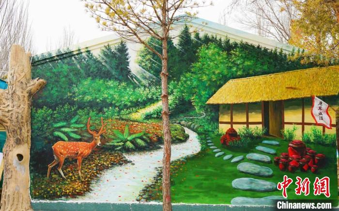 繪制好的鄉(xiāng)村墻繪。　寧夏文旅廳供圖