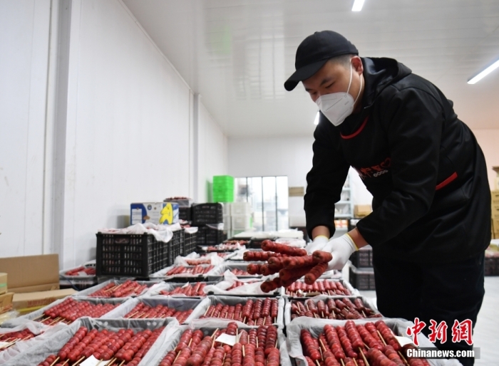 1月18日，雄安新區(qū)大樹劉莊村辛愛青家中的冰糖葫蘆加工廠，工人正在制作冰糖葫蘆。作為遠(yuǎn)近聞名的“冰糖葫蘆村”，大樹劉莊村制作冰糖葫蘆的歷史已有100多年，全村三分之二的村民都會(huì)這門手藝，吸引不少游客慕名而來。 中新社記者 韓冰 攝