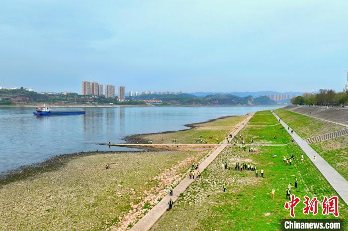 在宜昌城區(qū)長(zhǎng)江岸畔，市民化身“護(hù)江使者”沿江而行 周星亮 攝