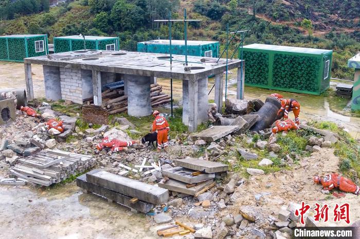 搜救犬、無人機(jī)配合救援行動?！〔虦Y藝 攝