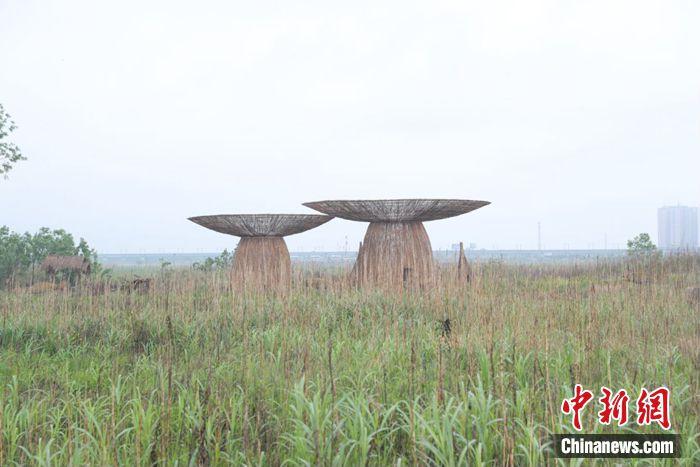 江水變清、江豚重現(xiàn)……這座城市如何守護(hù)碧水