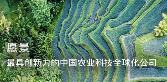 先正達(dá)過會(huì)！A股史上第四大IPO什么來頭？